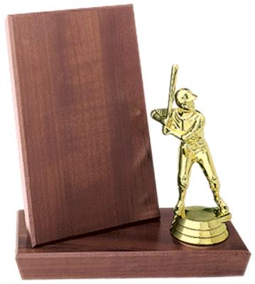 8 X 10 Wooden Trophy Plaque - 3/4 Thick